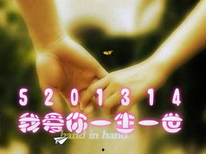 爆料明星素材视频大全下载,素材视频大全下载解析