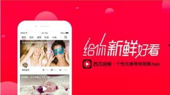 娱乐吃瓜酱视频边框