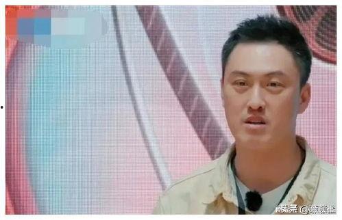 吃瓜看娱乐圈